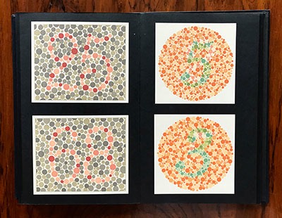 AO-PSEUDO-ISOCHROMATIC-PLATES-INSIDE